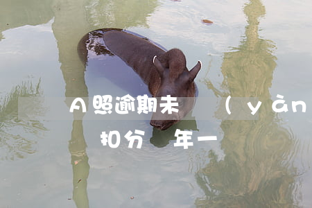 A照逾期未審驗(yàn)還能扣分嗎 a照沒扣分幾年一審