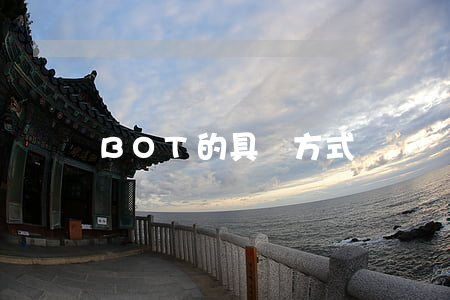 BOT的具體方式