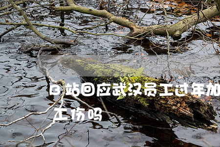 B站回应武汉员工过年加班猝死 加班猝死算工伤吗?