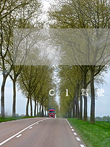 C1驾驶证需要年审吗（按道路交通安全法）