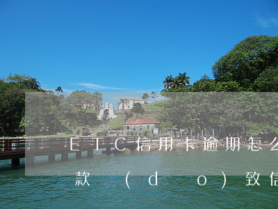 ETC信用卡逾期怎么收費(因為etc卡欠款導(dǎo)致信用卡逾期怎么辦)