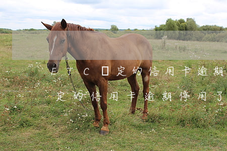 ETC綁定的信用卡逾期停用了-etc綁定的信用卡逾期停用了怎么辦
