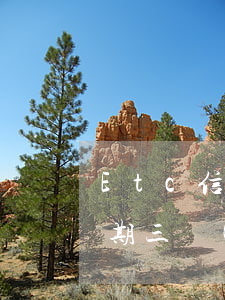 Etc信用卡可以逾期多久(信用卡etc逾期三個(gè)月)
