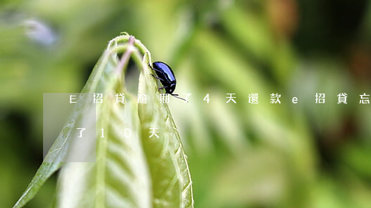 E招貸逾期了4天還款(e招貸忘記了還逾期了10天)