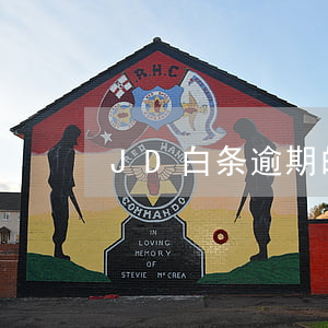 JD白条逾期的了-jd白条提前还清