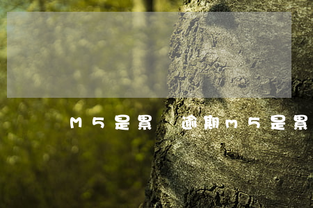 M5是累計逾期 m5是累計逾期