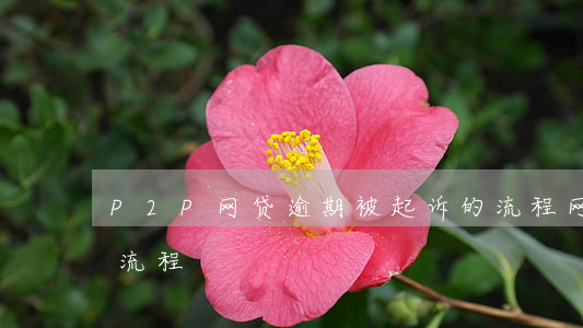 P2P网贷逾期被起诉的流程(网贷逾期诉讼流程)
