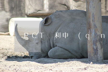 PCT專利申請(qǐng)