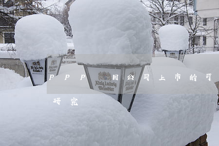 PPP項目公司上市的可行性及面臨的問題研究