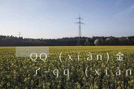 QQ現(xiàn)金貸逾期還款后被財主了-qq現(xiàn)金貸逾期還款后被財主了會怎么樣