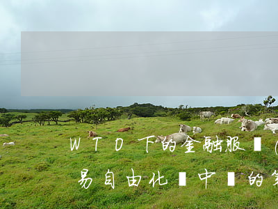 WTO下的金融服務(wù)貿(mào)易自由化與中國的策略