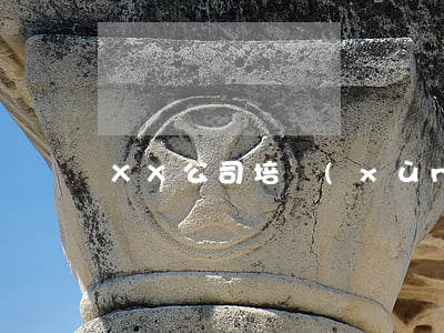 XX公司培訓(xùn)協(xié)議書
