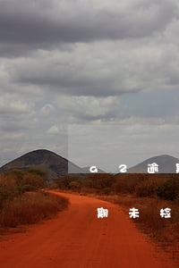 a2逾期未审能降级吗-关于a2驾驶证逾期未检验有什么处罚