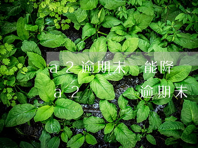 a2逾期未審能降級嗎-關(guān)于a2駕駛證逾期未檢驗(yàn)有什么處罰