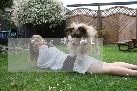 abo模式融資