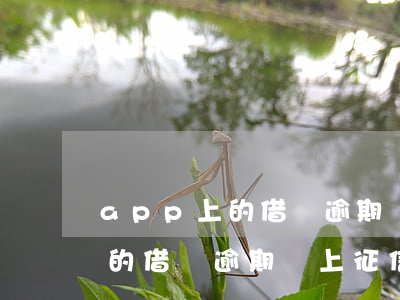 app上的借條逾期會上征信嗎-app上的借條逾期會上征信嗎有影響嗎
