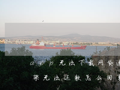 app无法下载网贷逾期(网贷app突然下架无法还款怎么回事)