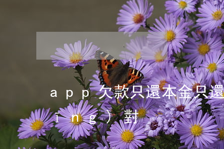 app欠款只還本金(只還本金的怎么應(yīng)對)