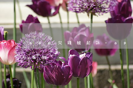 app欠錢被起訴-app貸款逾期被起訴案例