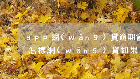 app網(wǎng)貸逾期會(huì)怎樣(網(wǎng)貸如果逾期了會(huì)怎么樣)