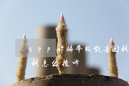 app诈骗举报能追回钱吗(被app诈骗了钱怎么投诉)
