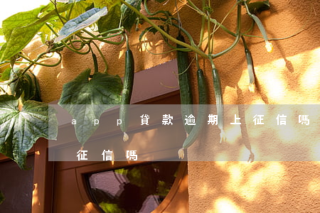 app貸款逾期上征信嗎(借貸app逾期上征信嗎)