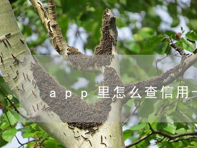 app里怎么查信用卡是否逾期