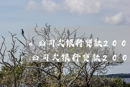 a公司欠银行贷款200万元,现该公司-a公司欠银行贷款200万元,现该公司还款