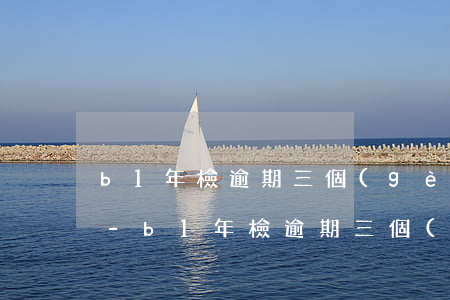 b1年檢逾期三個(gè)月未年檢怎么辦-b1年檢逾期三個(gè)月未年檢怎么辦理