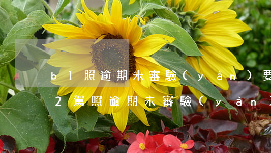 b1照逾期未審驗(yàn)要考科四嗎(b2駕照逾期未審驗(yàn))