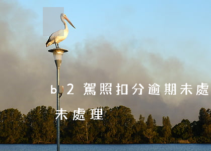 b2駕照扣分逾期未處理 b2駕照扣分逾期未處理