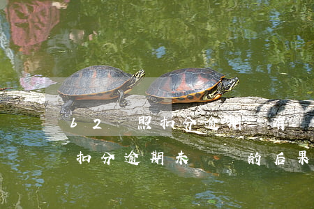 b2駕照扣分逾期沒有審怎么辦-b2駕照扣分逾期未審驗的后果