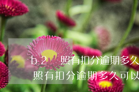 b2駕照有扣分逾期多久可以年審-b2駕照有扣分逾期多久可以年審啊