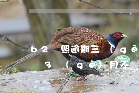 b2駕照逾期三個(gè)月 b2駕駛證超過3個(gè)月不換