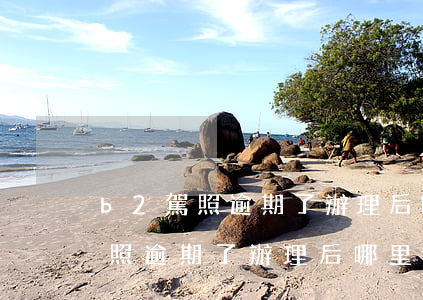 b2駕照逾期了辦理后哪里能看到-b2駕照逾期了辦理后哪里能看到記錄