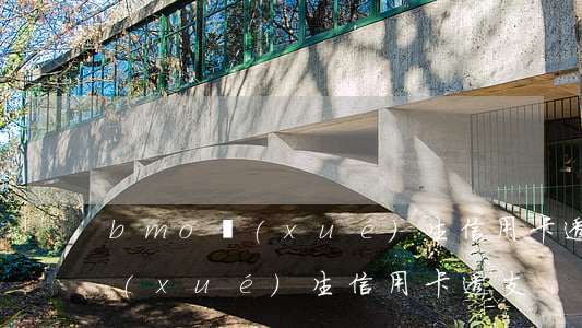 bmo學(xué)生信用卡透支(bmo學(xué)生信用卡透支)