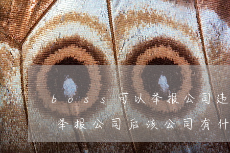 boss可以举报公司违法吗(boss直聘举报公司后该公司有什么影响吗)