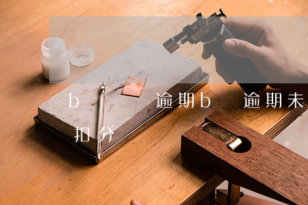 b證審檢逾期(b證逾期未審驗(yàn)是扣分嗎)