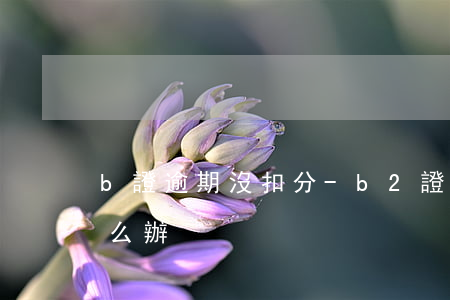b證逾期沒扣分-b2證未扣分逾期未審怎么辦
