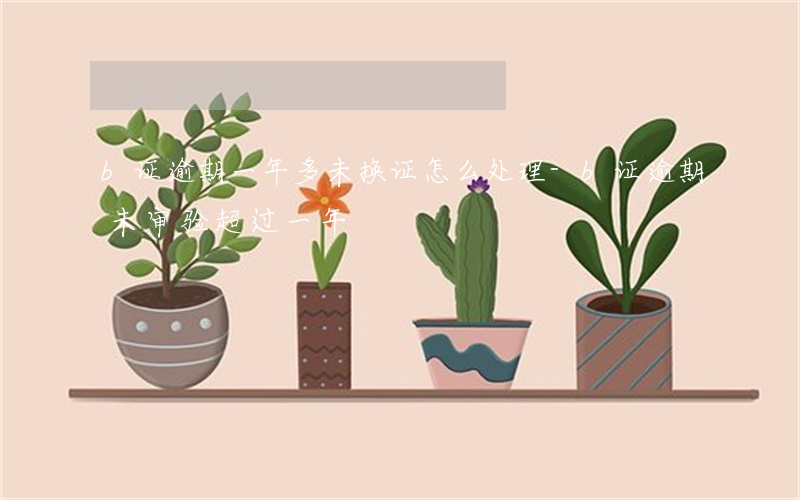 b证逾期一年多未换证怎么处理-b证逾期未审验超过一年