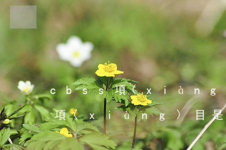 cbss項(xiàng)目逾期(cbss項(xiàng)目是什么貸款)