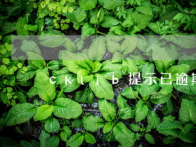 cklib提示已逾期什么意思-