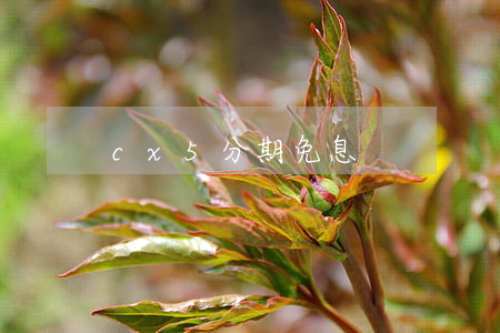 cx5分期免息