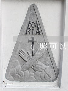 c照可以開什么車