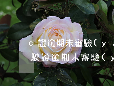 c證逾期未審驗(yàn)去哪里處理-駕駛證逾期未審驗(yàn)去哪里審驗(yàn)