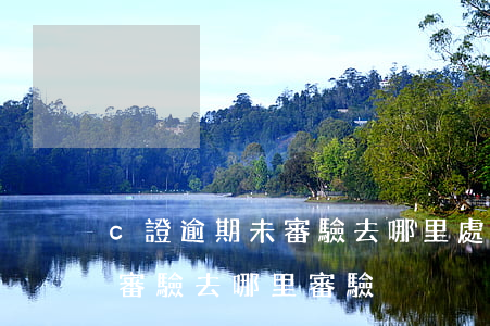 c證逾期未審驗去哪里處理-駕駛證逾期未審驗去哪里審驗