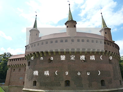 dna鑒定機構(gòu)(昆明dna鑒定機構(gòu))