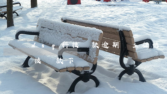 dsq科技貸款逾期會上征信嗎-dsq科技貸款下載