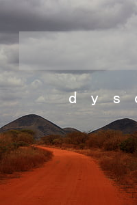 dyson免息分期(戴森24期免息)
