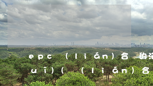 epc聯(lián)合體的法律法規(guī)(聯(lián)合體投標(biāo)的法律依據(jù))